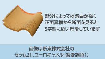 画像は新東株式会社のセラム21(ユーロキャメル(窯変調色))