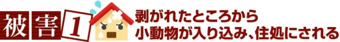 小動物の侵入