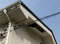佐倉市 軒天の剥がれ