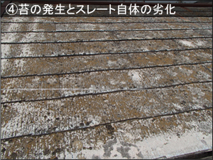 雨漏りの種類別原因 苔の発生とスレート自体の劣化