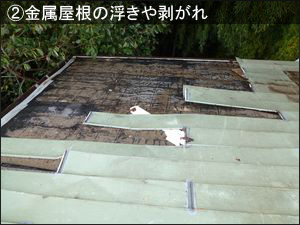 雨漏りの種類別原因 金属屋根の浮きや剥がれ