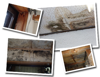 突然の雨漏りでお困りのお客様屋根の専門家にお任せください