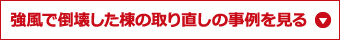 強風で倒壊した棟の取り直しの事例を見る