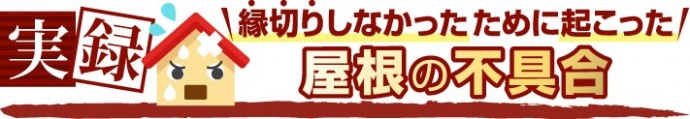 縁切りしなかったために起こった屋根の不具合