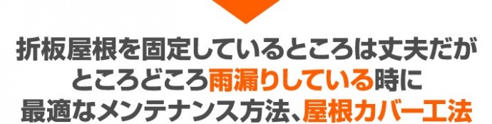 折板屋根を固定しているところは丈夫だがところどころ雨漏りしているときに最適なメンテナンス方法、屋根カバー工法