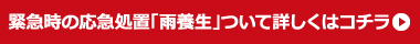 緊急時の応急処置「雨養生」ついて詳しくはコチラ