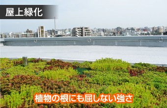 植物の根にも屈しない強さ