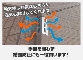 Heat-of-summer12-simple Heat-of-summer12-simple