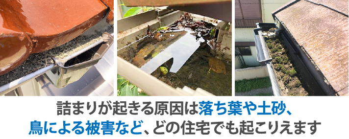 詰まりが起きる原因は落ち葉や土砂、鳥による被害など、どの住宅でも起こりえます