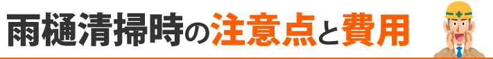 雨樋清掃時の注意点