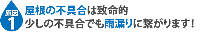 屋根の不具合は致命的少しの不具合でも雨漏りに繋がります！