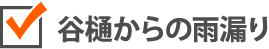 谷樋からの雨漏り