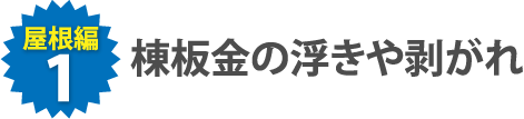 棟板金の浮きや剥がれ