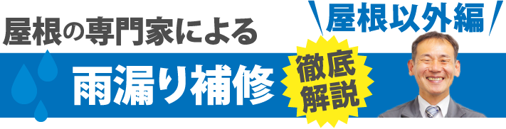 屋根の専門家による雨漏り補修