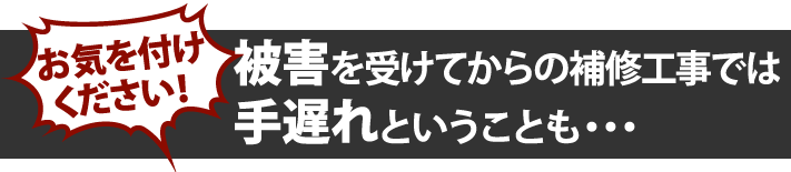 お気を付けください! 被害を受けてからの補修工事では手遅れということも・・・