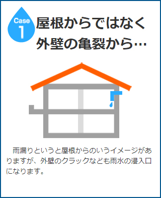 屋根からではなく外壁の亀裂から