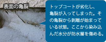 【表面の亀裂】トップコートが劣化し、亀裂が入ってしまった。その亀裂から剥離が始まっている状態。ここから浸み込んだ水分が防水層を傷める