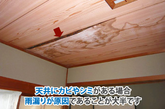 天井にカビやシミがある場合、雨漏りが原因であることが大半です