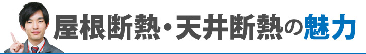 屋根断熱・天井断熱の魅力