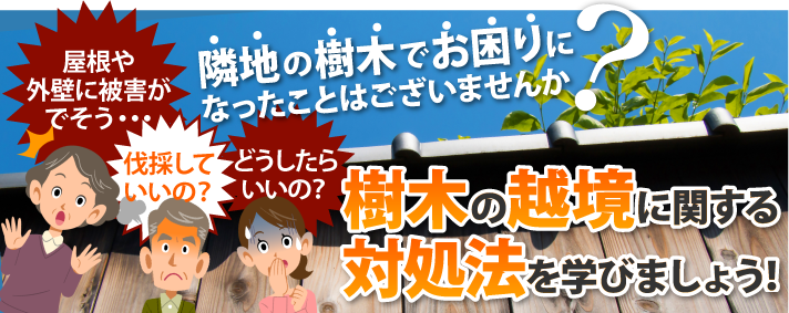 お隣の木が越境してきて屋根や外壁に被害が出そうな時の対処法