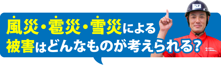 風災・雹災・雪災による
被害はどんなものが考えられる？