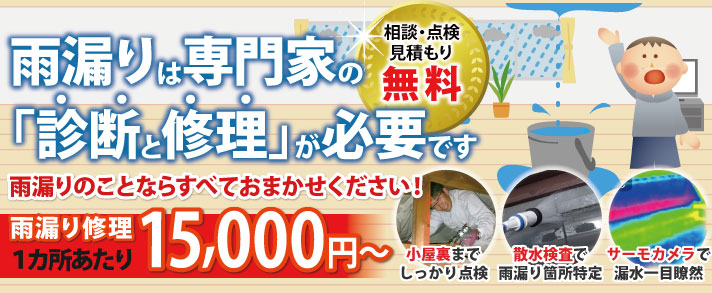 香取市 雨漏り工事