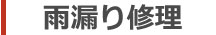 香取市　雨漏り修理