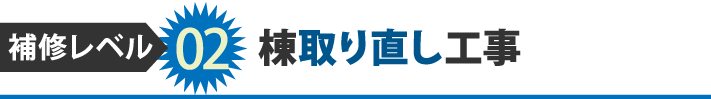 補修レベル02棟取り直し工事