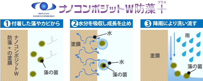 付着した藻やカビから,水分を吸収し成長を止め,降雨により洗い流す