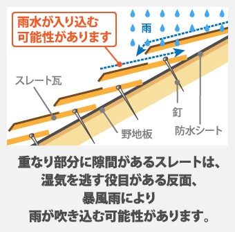 ranking48-simple