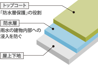 トップコート・防水層・屋上下地