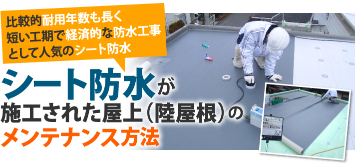 シート防水が施工された屋上(陸屋根)のメンテナンス方法