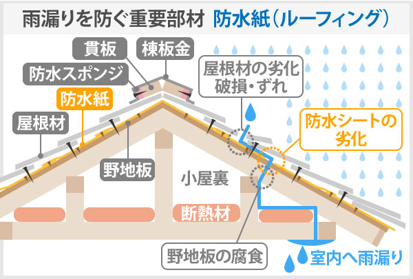 雨漏りを防ぐ重要部材  防水紙（ルーフィング）