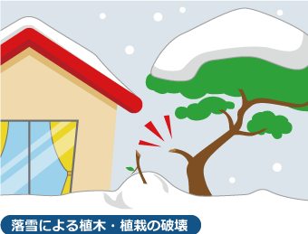 落雪による植木・植栽の破壊