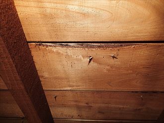 袖ヶ浦市 雨漏り調査 小屋裏006_R