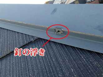 09070005 我孫子 釘の浮きその2
