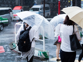 雨