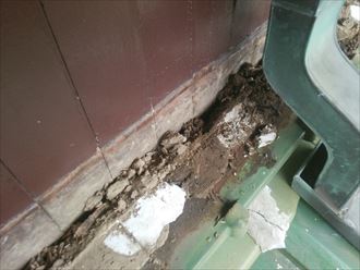 木更津市 雨漏り箇所上部瓦内部