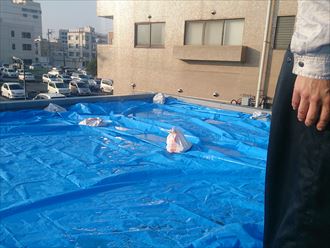 DSC_4270木更津市 防水工事