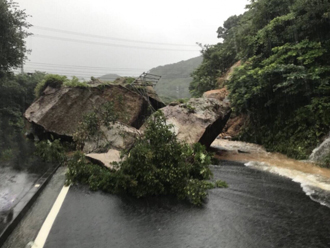 台風による倒木