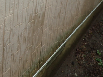 スレート屋根の苔を放置してはいけない理由