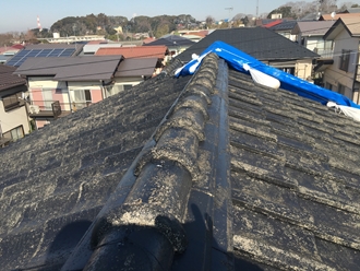 セメント瓦の調査を実施