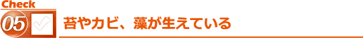 苔やカビ、藻が生えている