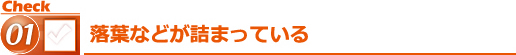 落葉などが詰まっている