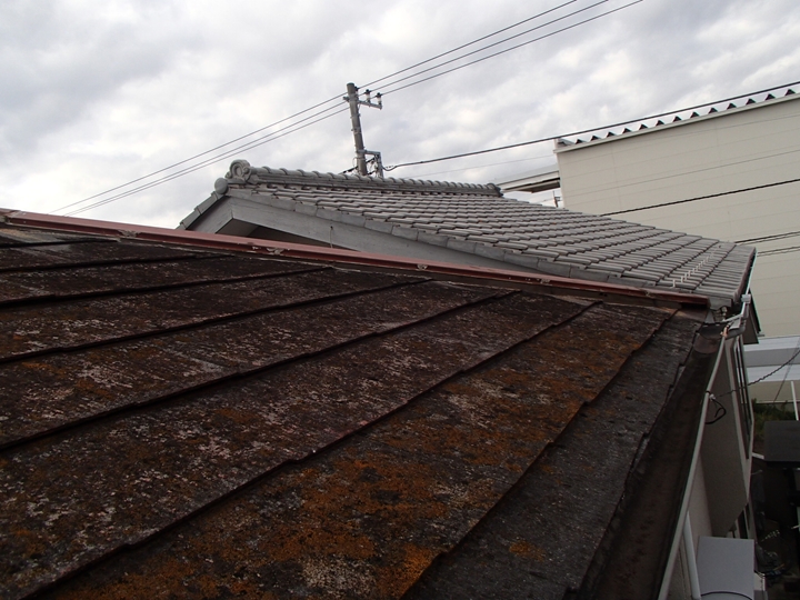 スレート屋根の調査、苔カビ