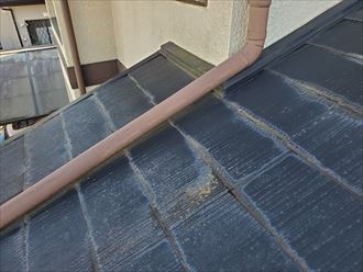 陽当たりの悪い下屋根に苔・藻・カビが発生