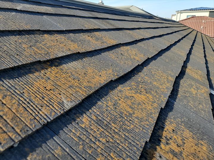鎌ケ谷市南鎌ケ谷で行ったスレート屋根調査で防水性の低下により苔・藻・カビが発生