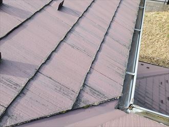 スレート屋根の塗装の劣化により防水性が低下しているため苔・藻・カビが発生