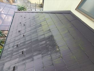 陽当たり悪い北側や下屋根に苔・藻・カビが発生