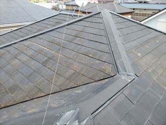 スレート屋根の防水性が低下し苔・藻・カビが発生しています